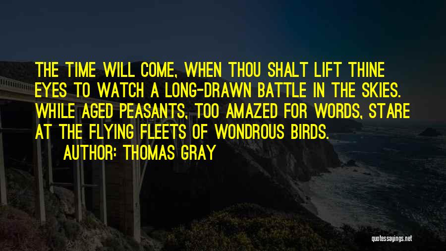 Birds Eye Quotes By Thomas Gray