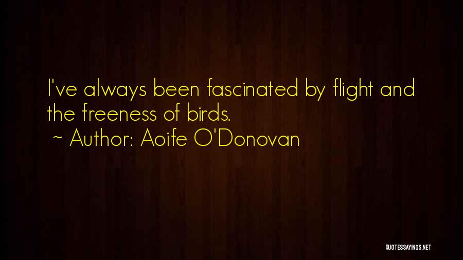 Birds Flight Quotes By Aoife O'Donovan