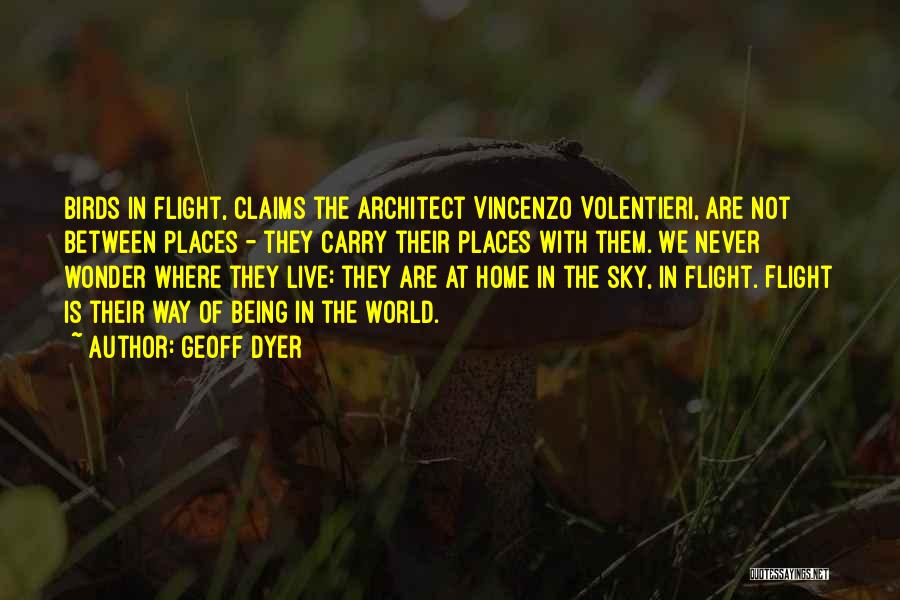 Birds Flight Quotes By Geoff Dyer