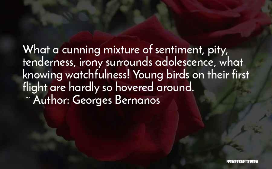 Birds Flight Quotes By Georges Bernanos
