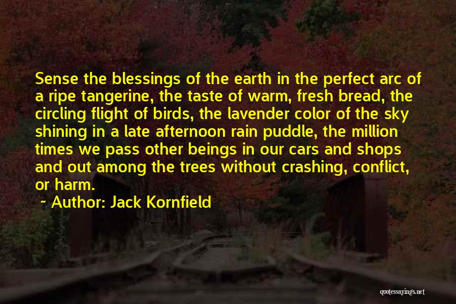 Birds Flight Quotes By Jack Kornfield