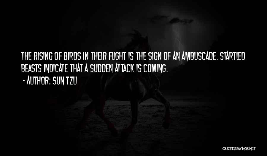 Birds Flight Quotes By Sun Tzu