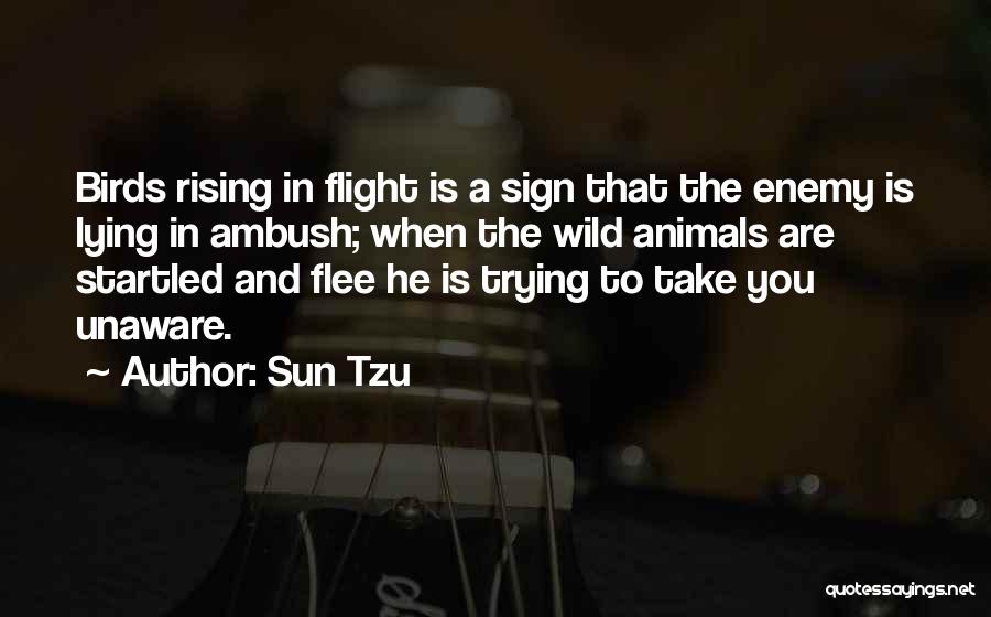 Birds Flight Quotes By Sun Tzu