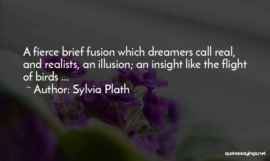 Birds Flight Quotes By Sylvia Plath