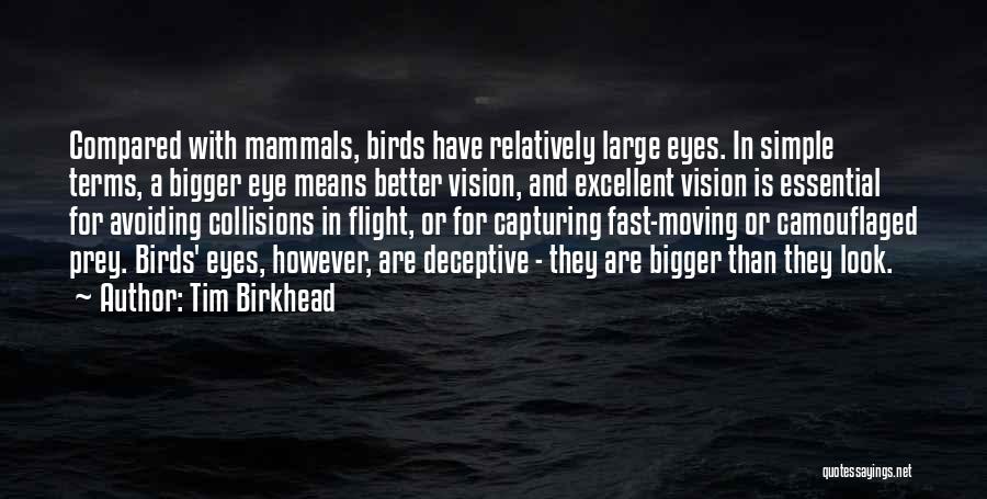 Birds Flight Quotes By Tim Birkhead