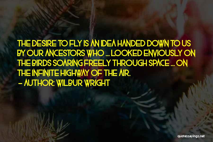 Birds Flight Quotes By Wilbur Wright