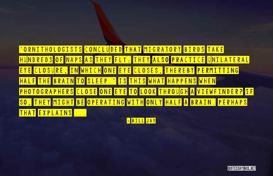 Birds Fly Quotes By Bill Jay Birds Fly Quotes By Bill Jay