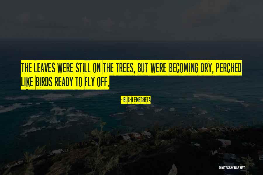 Birds Fly Quotes By Buchi Emecheta Birds Fly Quotes By Buchi Emecheta