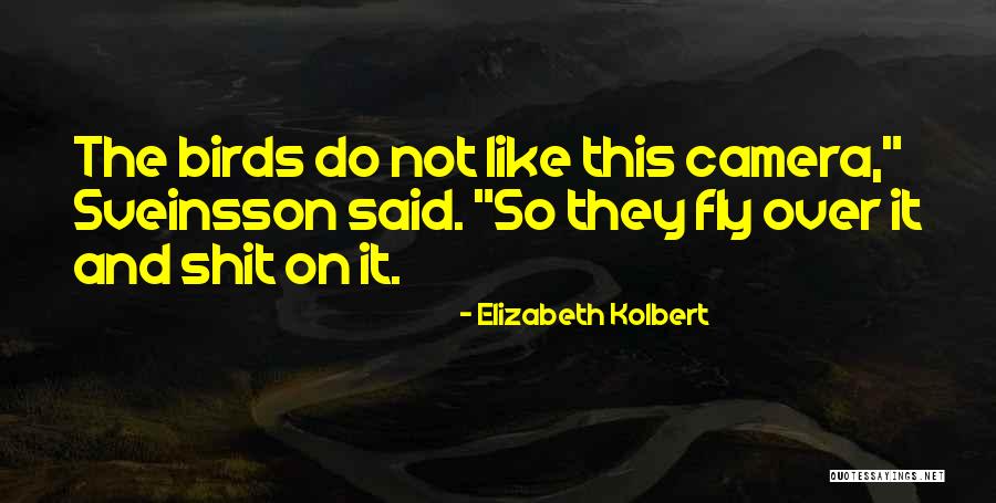 Birds Fly Quotes By Elizabeth Kolbert Birds Fly Quotes By Elizabeth Kolbert