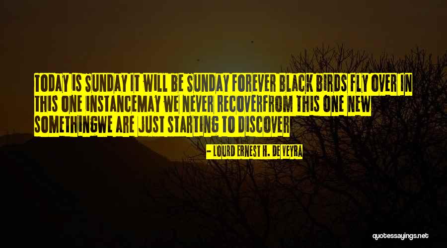 Birds Fly Quotes By Lourd Ernest H. De Veyra Birds Fly Quotes By Lourd Ernest H. De Veyra