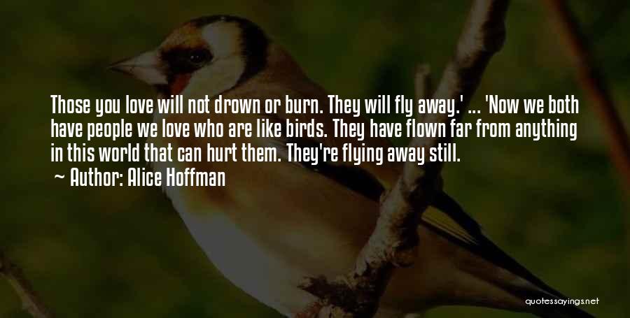 Birds Flying And Love Quotes By Alice Hoffman