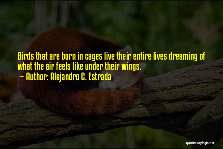 Birds In Cages Quotes By Alejandro C. Estrada