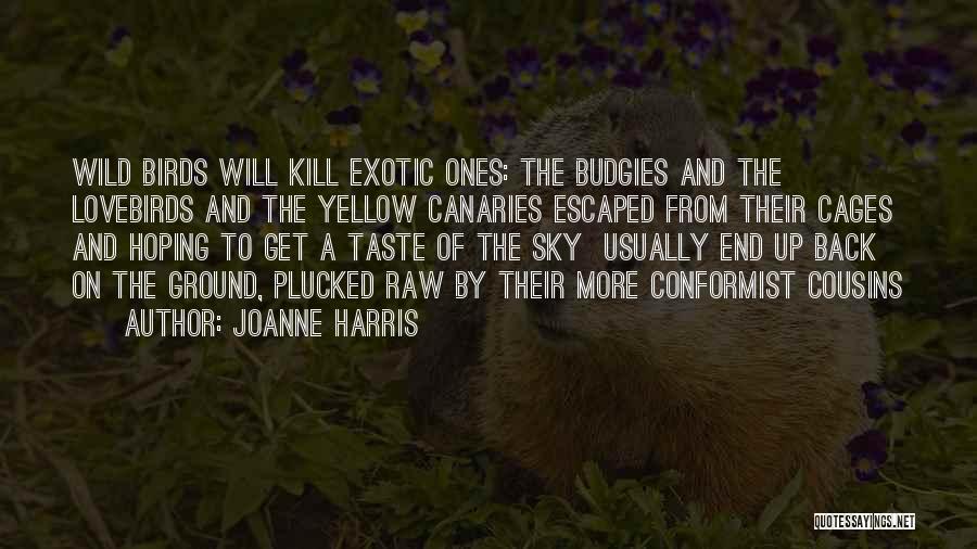 Birds In Cages Quotes By Joanne Harris