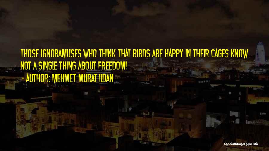 Birds In Cages Quotes By Mehmet Murat Ildan