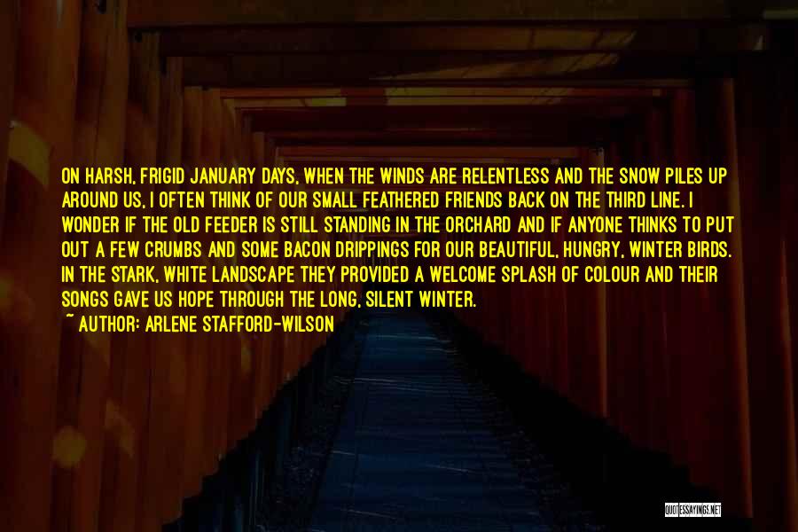Birds In Snow Quotes By Arlene Stafford-Wilson