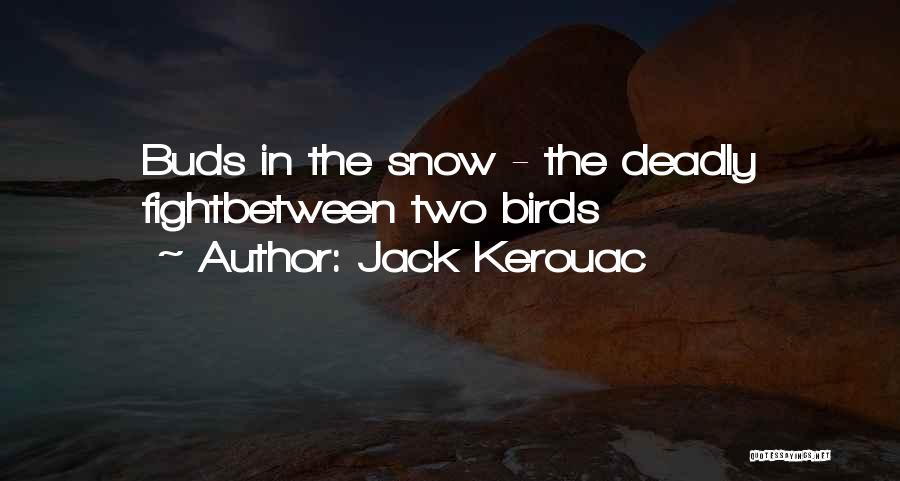 Birds In Snow Quotes By Jack Kerouac