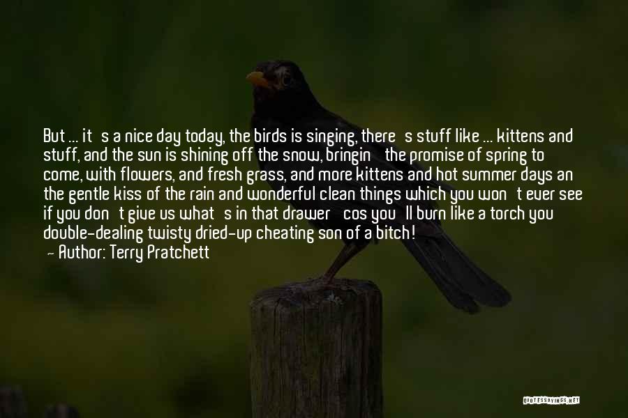Birds In Snow Quotes By Terry Pratchett