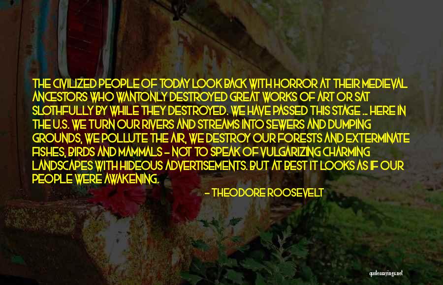 Birds In The Awakening Quotes By Theodore Roosevelt Birds In The Awakening Quotes By Theodore Roosevelt