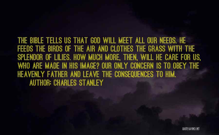 Birds In The Bible Quotes By Charles Stanley