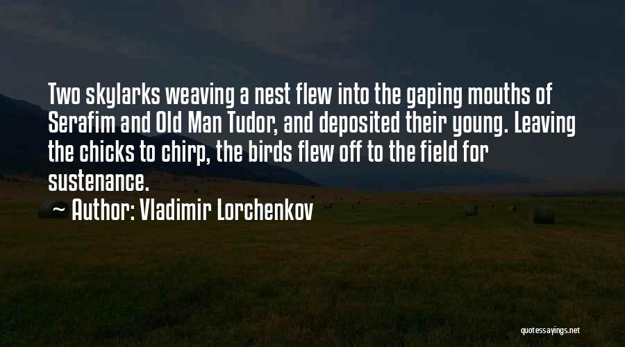 Birds Leaving The Nest Quotes By Vladimir Lorchenkov