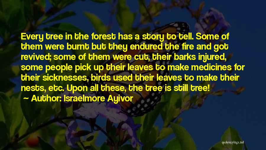 Birds Nests Quotes By Israelmore Ayivor