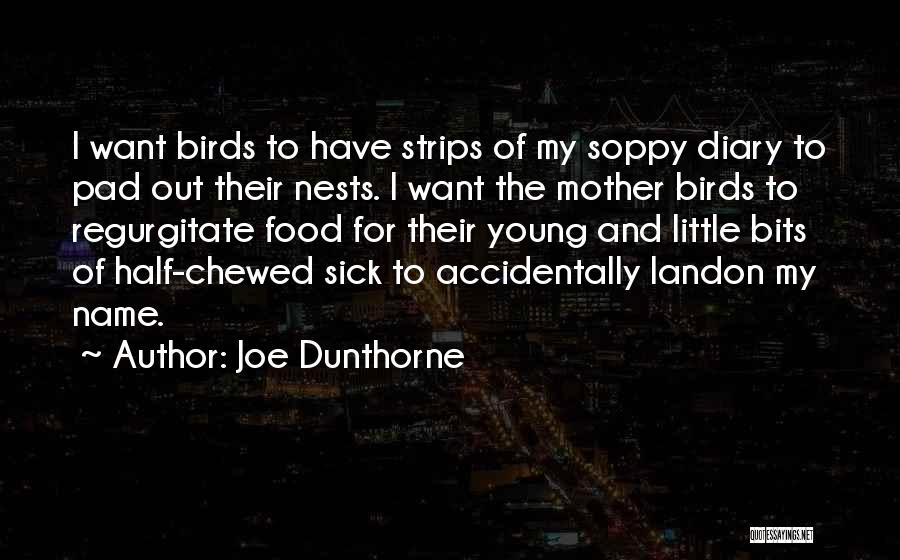 Birds Nests Quotes By Joe Dunthorne
