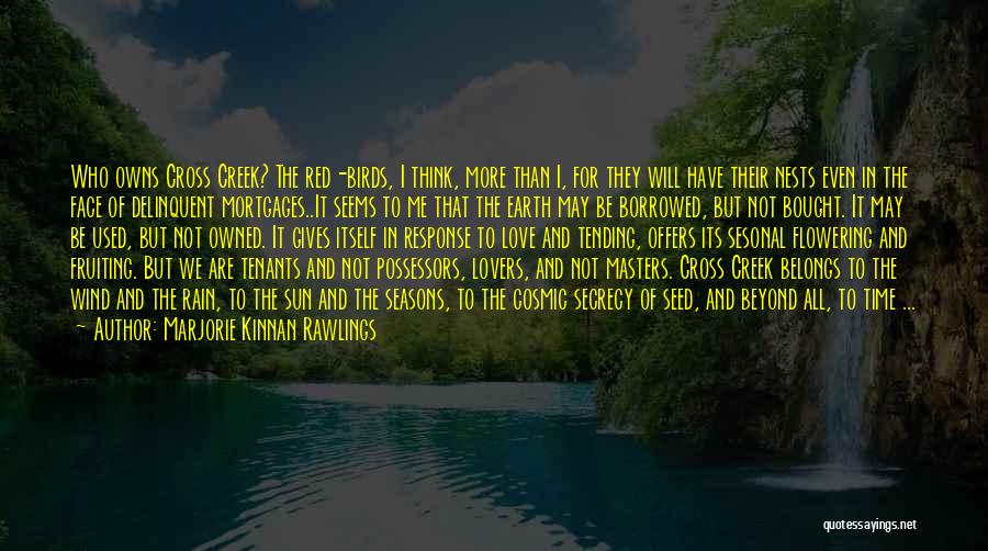 Birds Nests Quotes By Marjorie Kinnan Rawlings