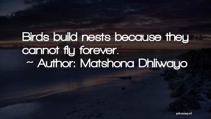 Birds Nests Quotes By Matshona Dhliwayo