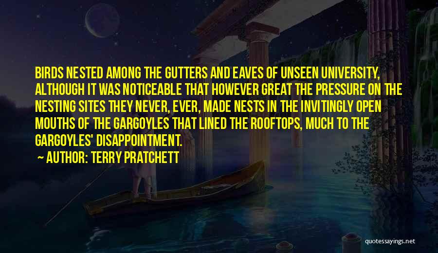 Birds Nests Quotes By Terry Pratchett