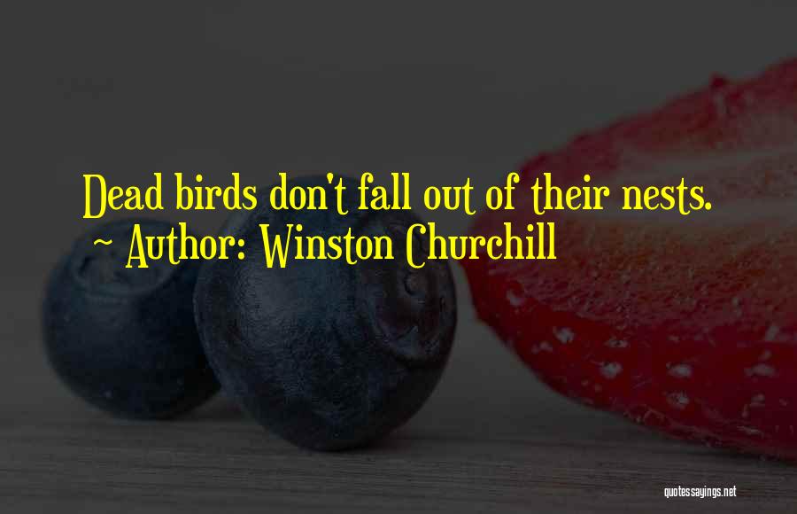 Birds Nests Quotes By Winston Churchill