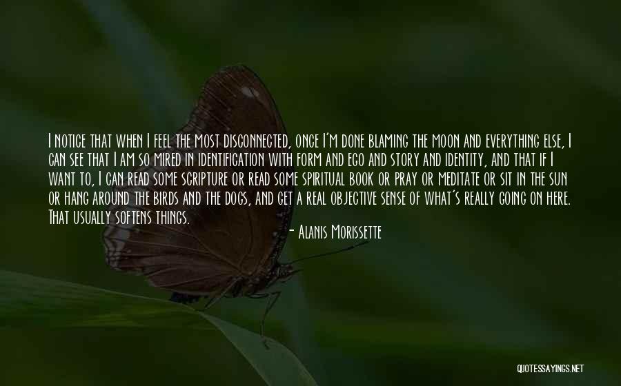 Birds Quotes By Alanis Morissette Birds Quotes By Alanis Morissette