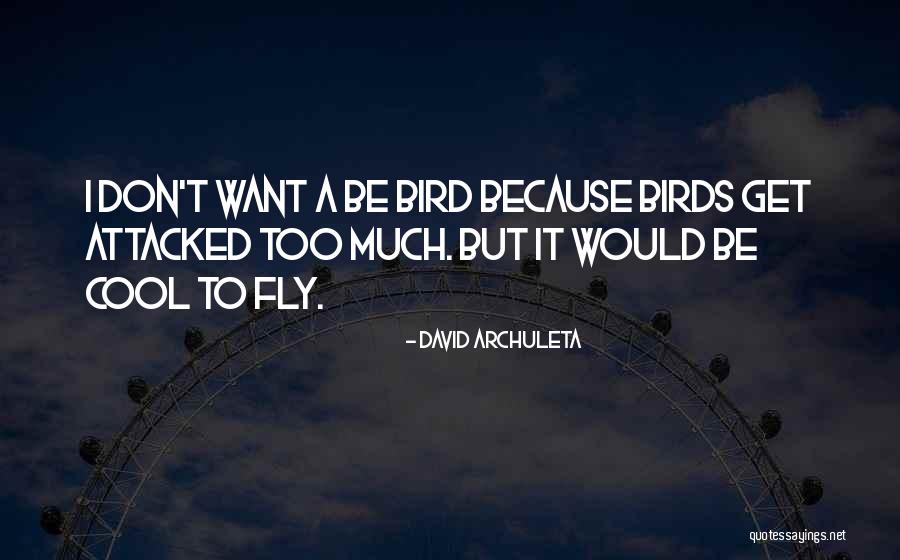Birds Quotes By David Archuleta Birds Quotes By David Archuleta