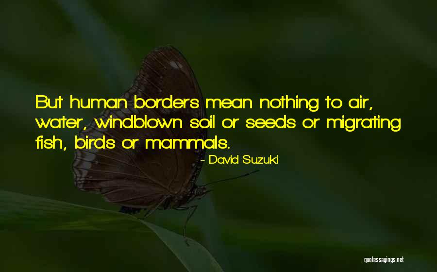 Birds Quotes By David Suzuki Birds Quotes By David Suzuki