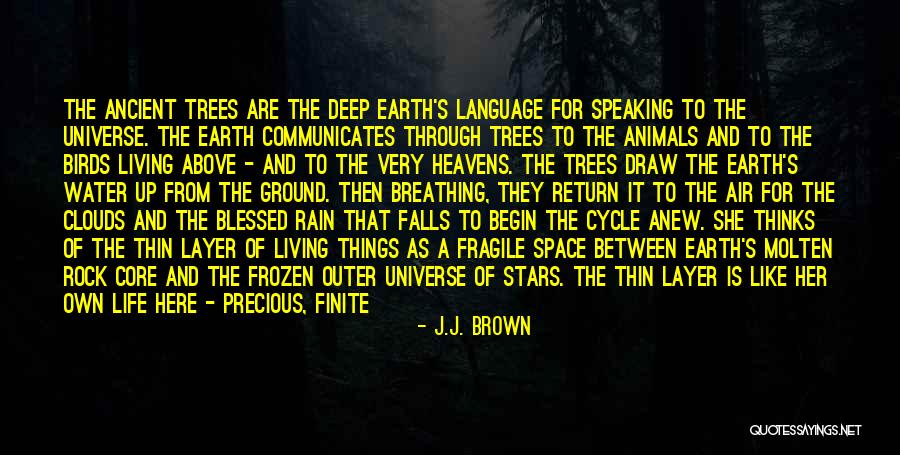 Birds Quotes By J.J. Brown Birds Quotes By J.J. Brown