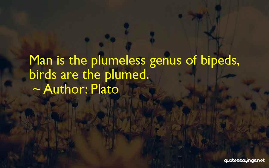 Birds Quotes By Plato