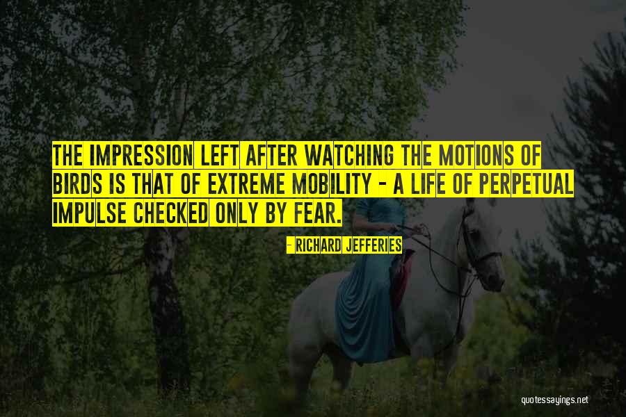 Birds Quotes By Richard Jefferies Birds Quotes By Richard Jefferies