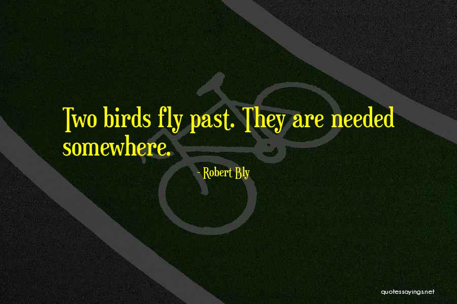 Birds Quotes By Robert Bly