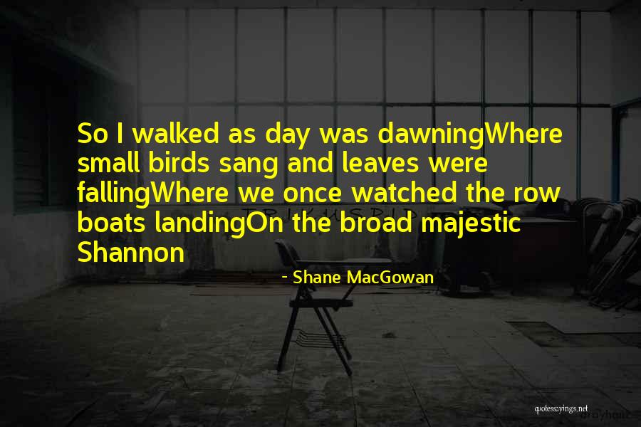 Birds Quotes By Shane MacGowan Birds Quotes By Shane MacGowan