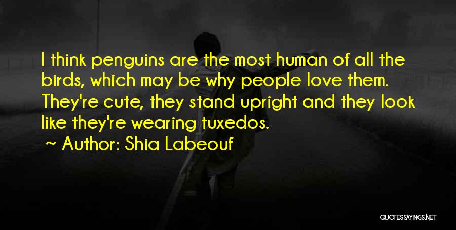 Birds Quotes By Shia Labeouf