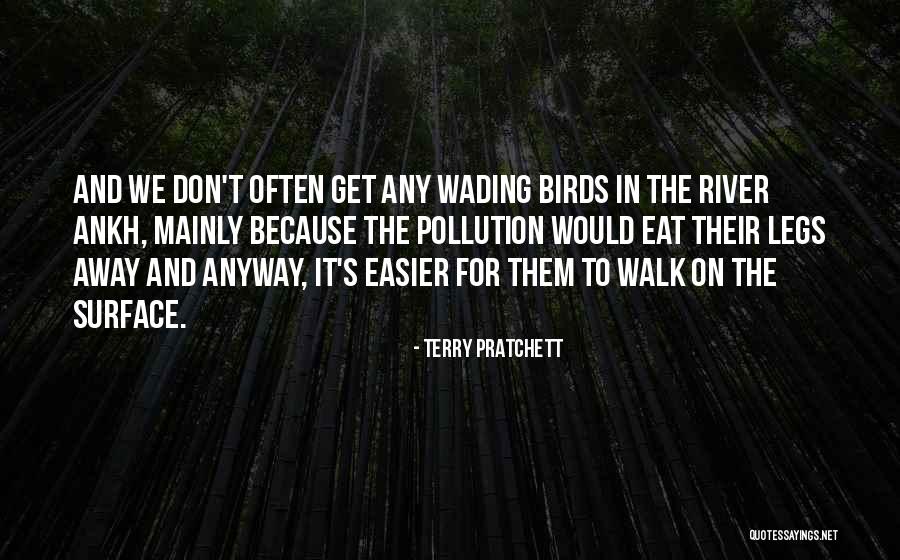 Birds Quotes By Terry Pratchett Birds Quotes By Terry Pratchett