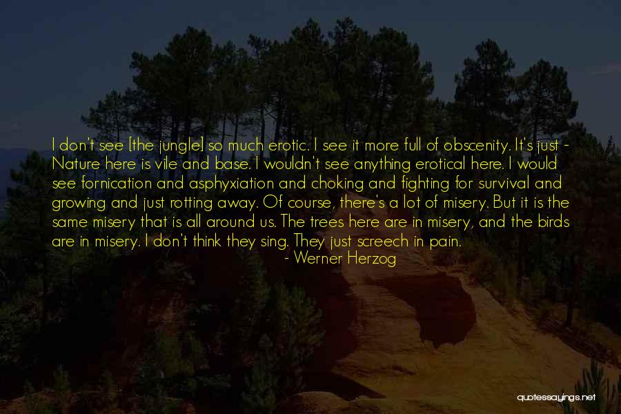 Birds Sing Quotes By Werner Herzog Birds Sing Quotes By Werner Herzog