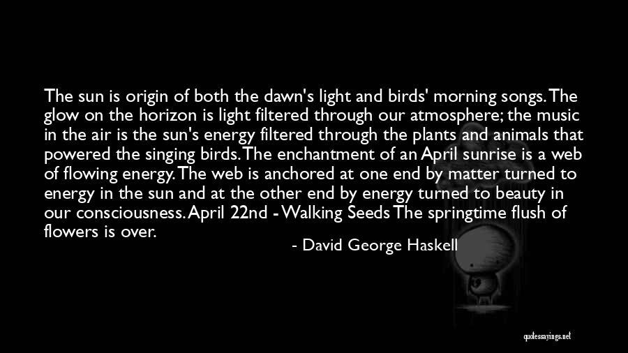 Birds Singing In The Morning Quotes By David George Haskell Birds Singing In The Morning Quotes By David George Haskell