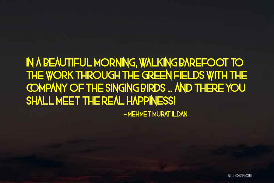 Birds Singing In The Morning Quotes By Mehmet Murat Ildan Birds Singing In The Morning Quotes By Mehmet Murat Ildan