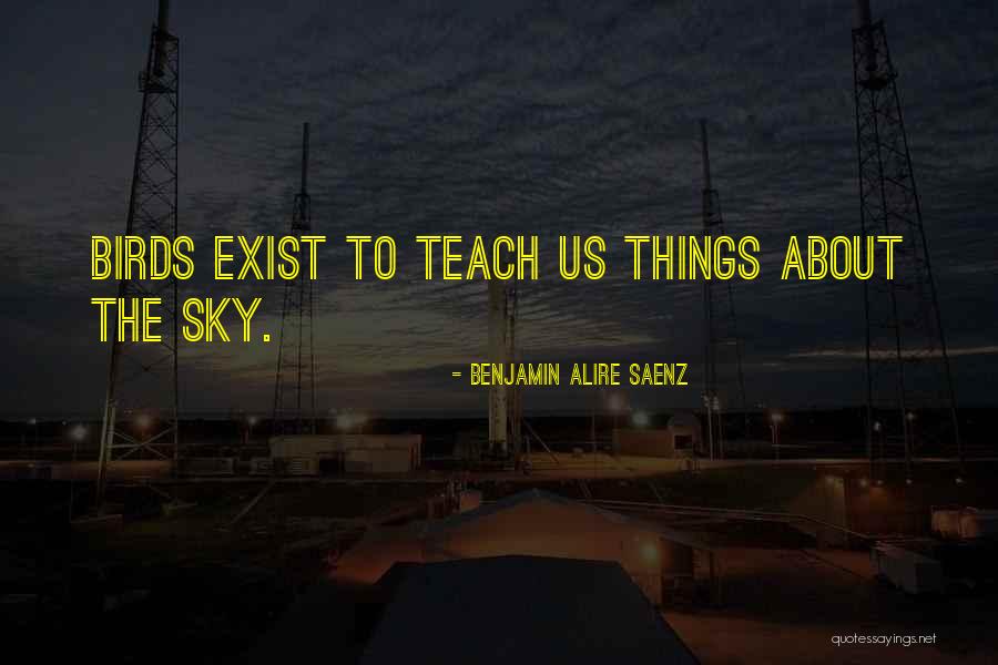 Birds Sky Quotes By Benjamin Alire Saenz Birds Sky Quotes By Benjamin Alire Saenz
