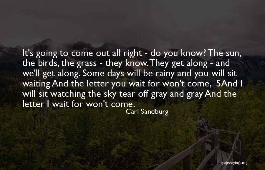 Birds Sky Quotes By Carl Sandburg Birds Sky Quotes By Carl Sandburg