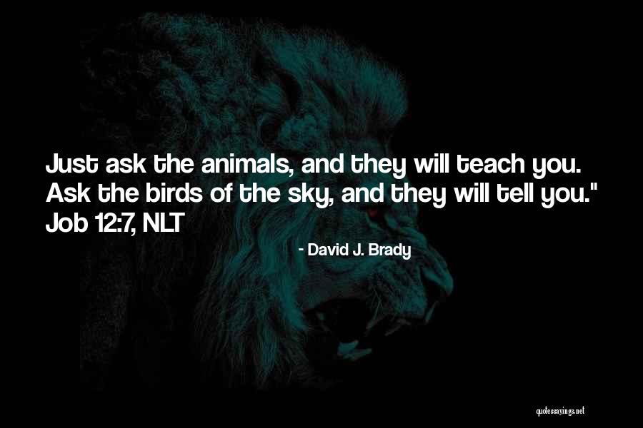 Birds Sky Quotes By David J. Brady Birds Sky Quotes By David J. Brady