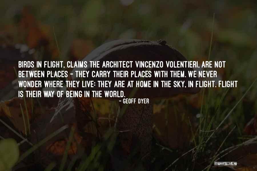 Birds Sky Quotes By Geoff Dyer Birds Sky Quotes By Geoff Dyer