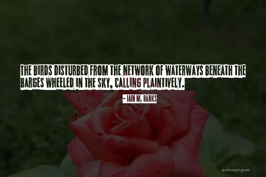 Birds Sky Quotes By Iain M. Banks Birds Sky Quotes By Iain M. Banks