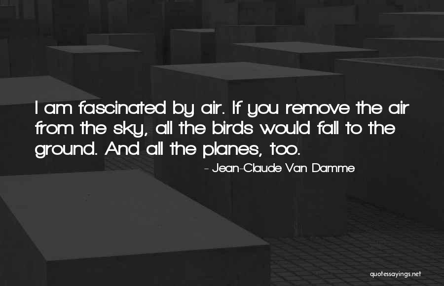 Birds Sky Quotes By Jean-Claude Van Damme Birds Sky Quotes By Jean-Claude Van Damme