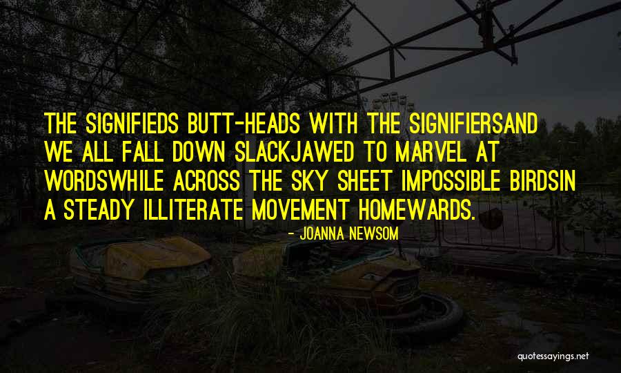 Birds Sky Quotes By Joanna Newsom Birds Sky Quotes By Joanna Newsom